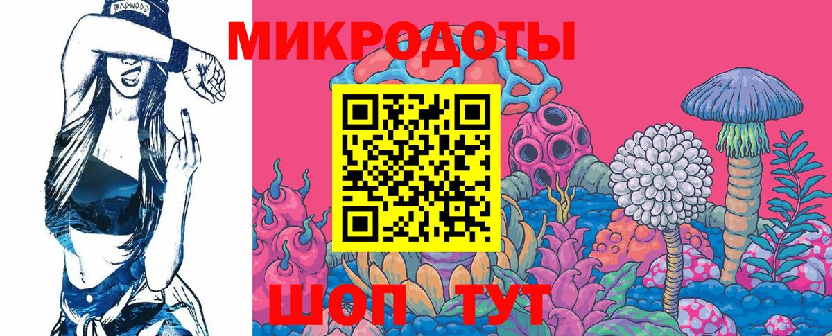 Псилоцибиновые грибы Cubensis  Вход с VPN  Галлюциногенные грибы MAGIC MUSHROOMS  Луга 